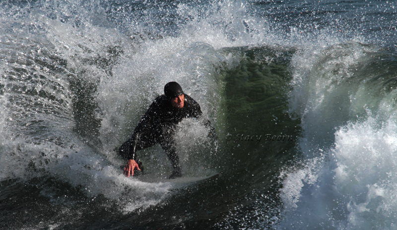 Feb 4 - Surfer web