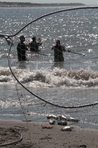 Dip-Net fishing on the Kenai