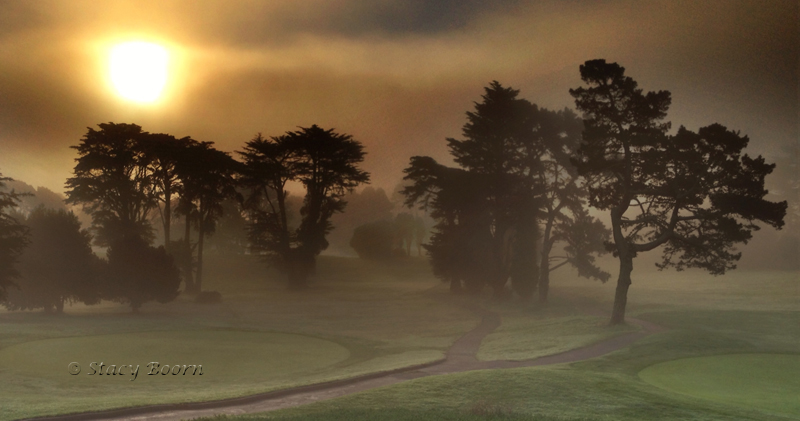 Dec 4 - Golf course Fog copy