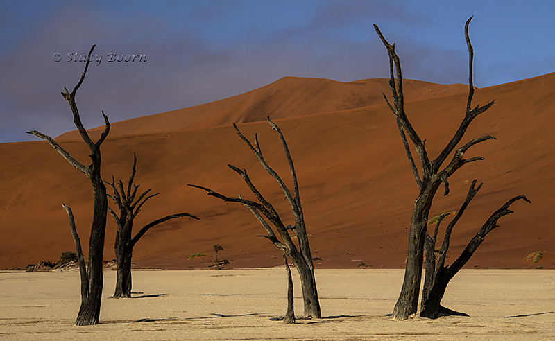 Deadvlei after the fog lifted.