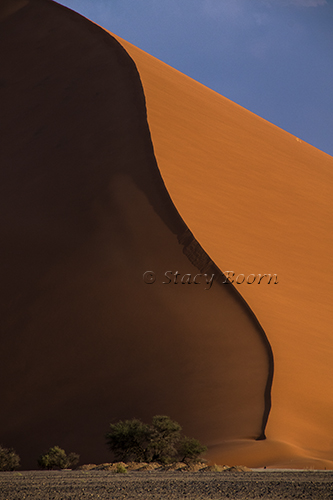 dunes-edge-001-copy